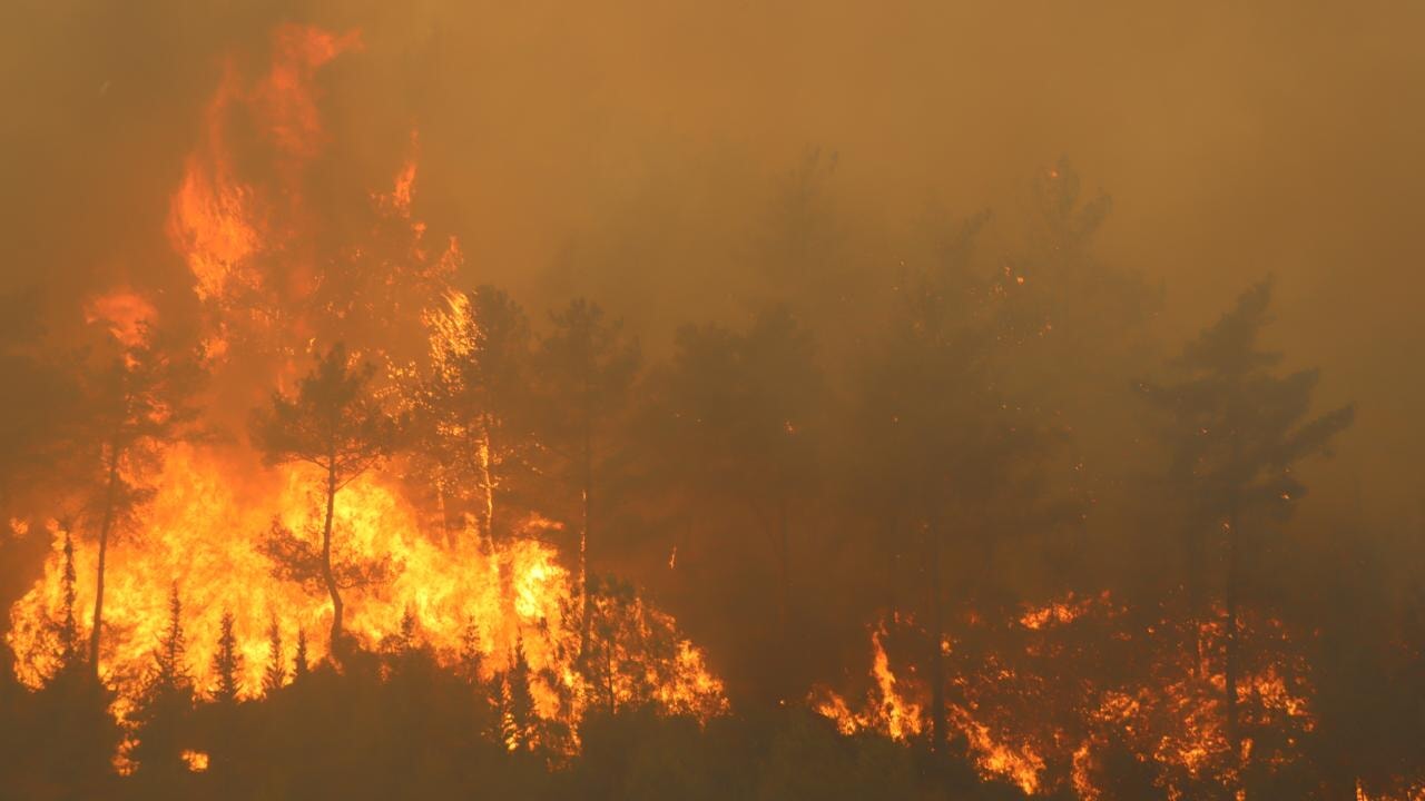 Antakya ilçesinde çıkan orman yangınına müdahale havadan görüntülendi