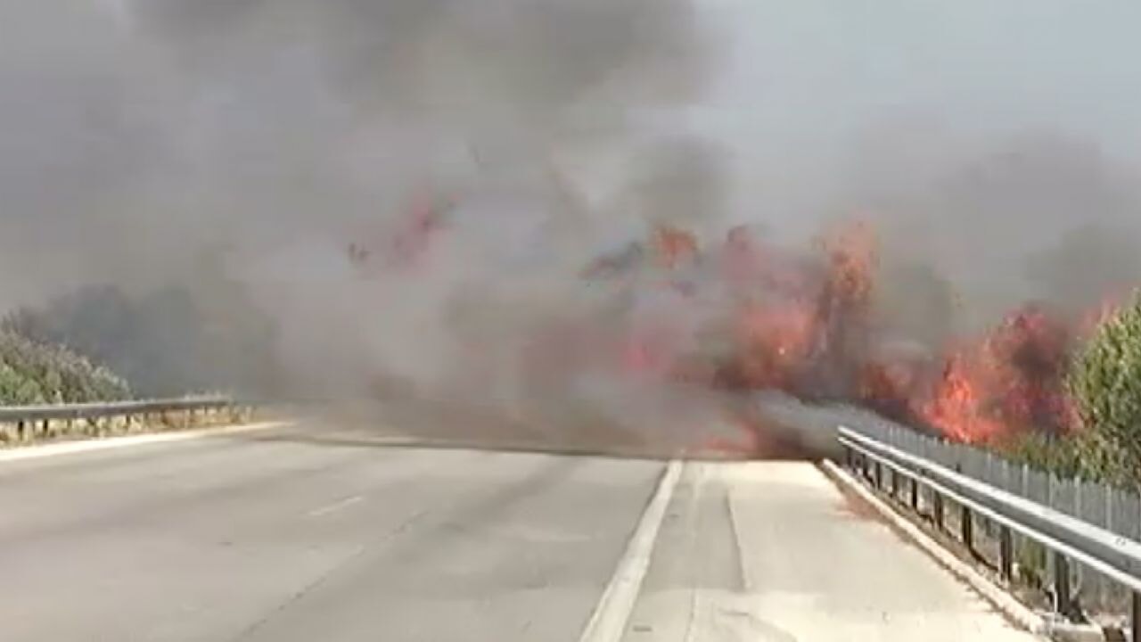 İzmir yanıyor; Orman yangını otobana sıçradı!
