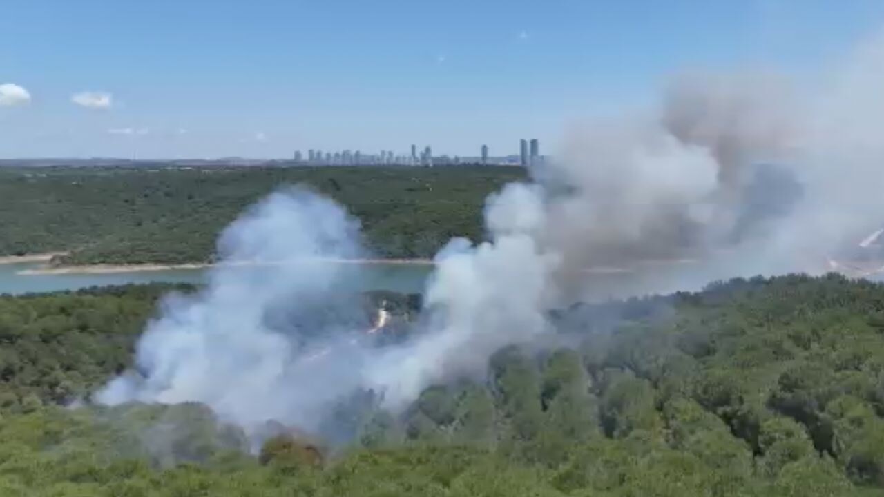 İstanbul'daki kent ormanında yangın! Vali Gül'den açıklama