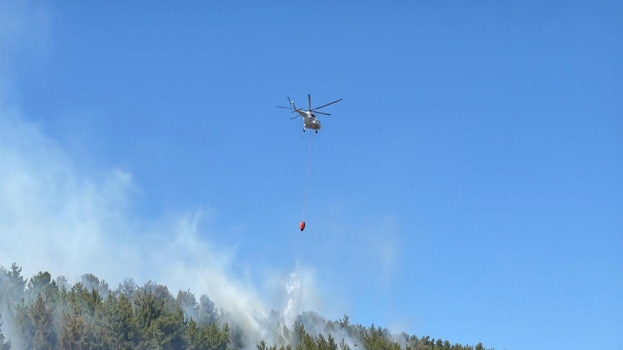 Muğla'da orman yangını