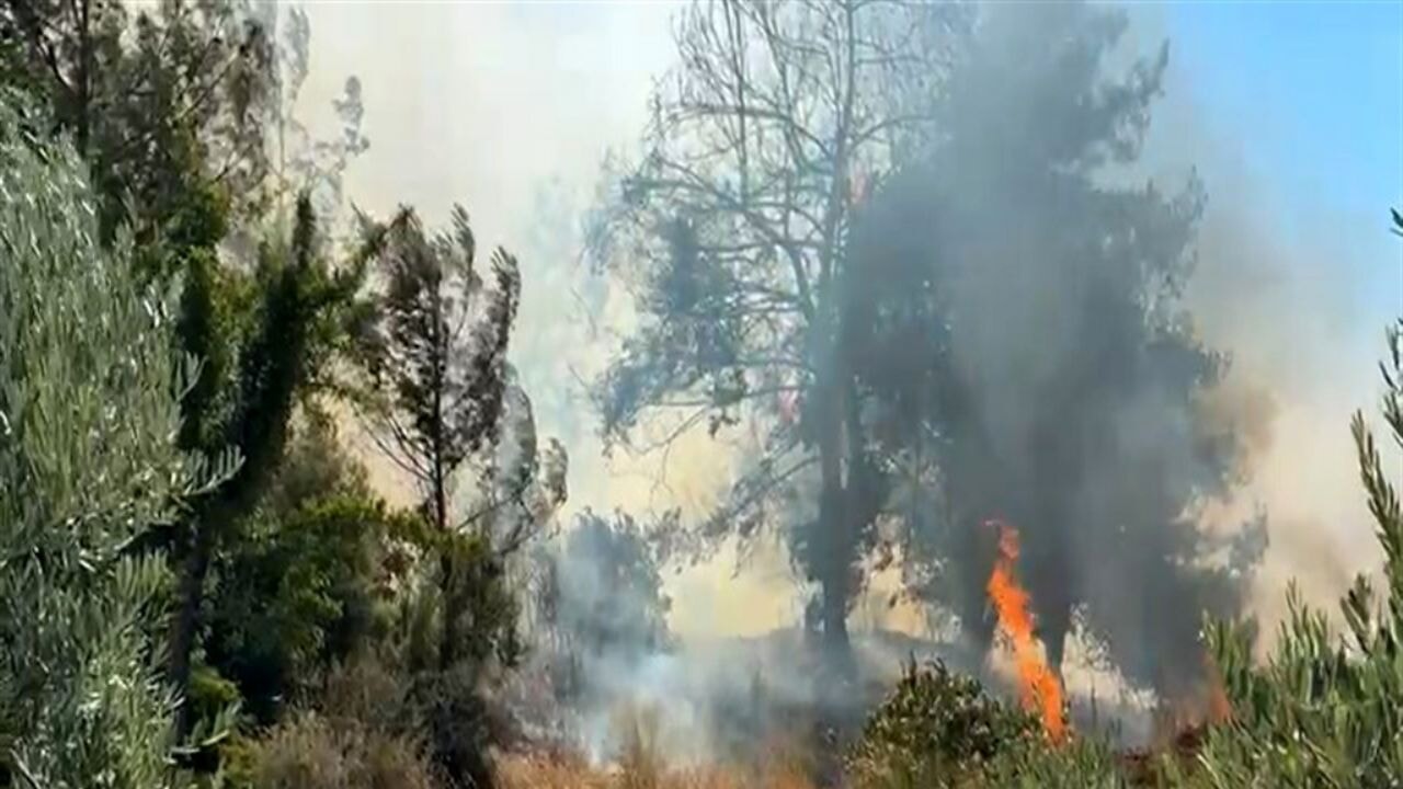 Antalya'da bir yangın daha