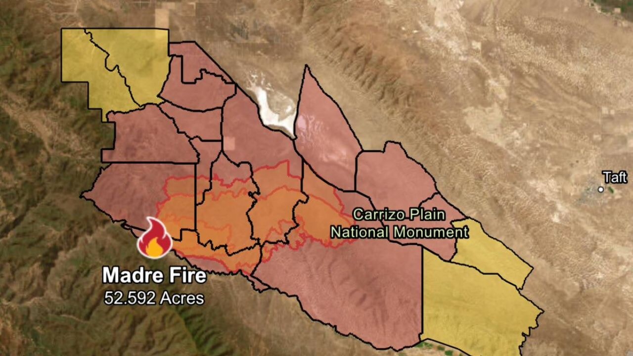 California orman yangınlarına teslim