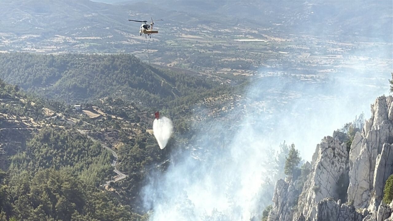 Milas'ta orman yangını