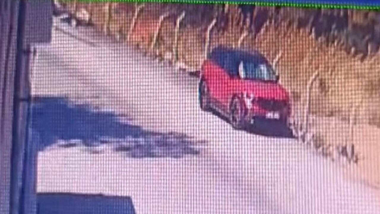 Savcılıktan Buca orman yangını açıklaması