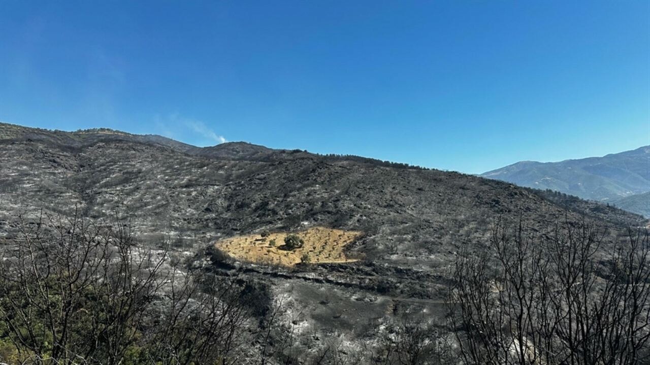 Görenler şaşırıyor; sadece o bölge yanmadı