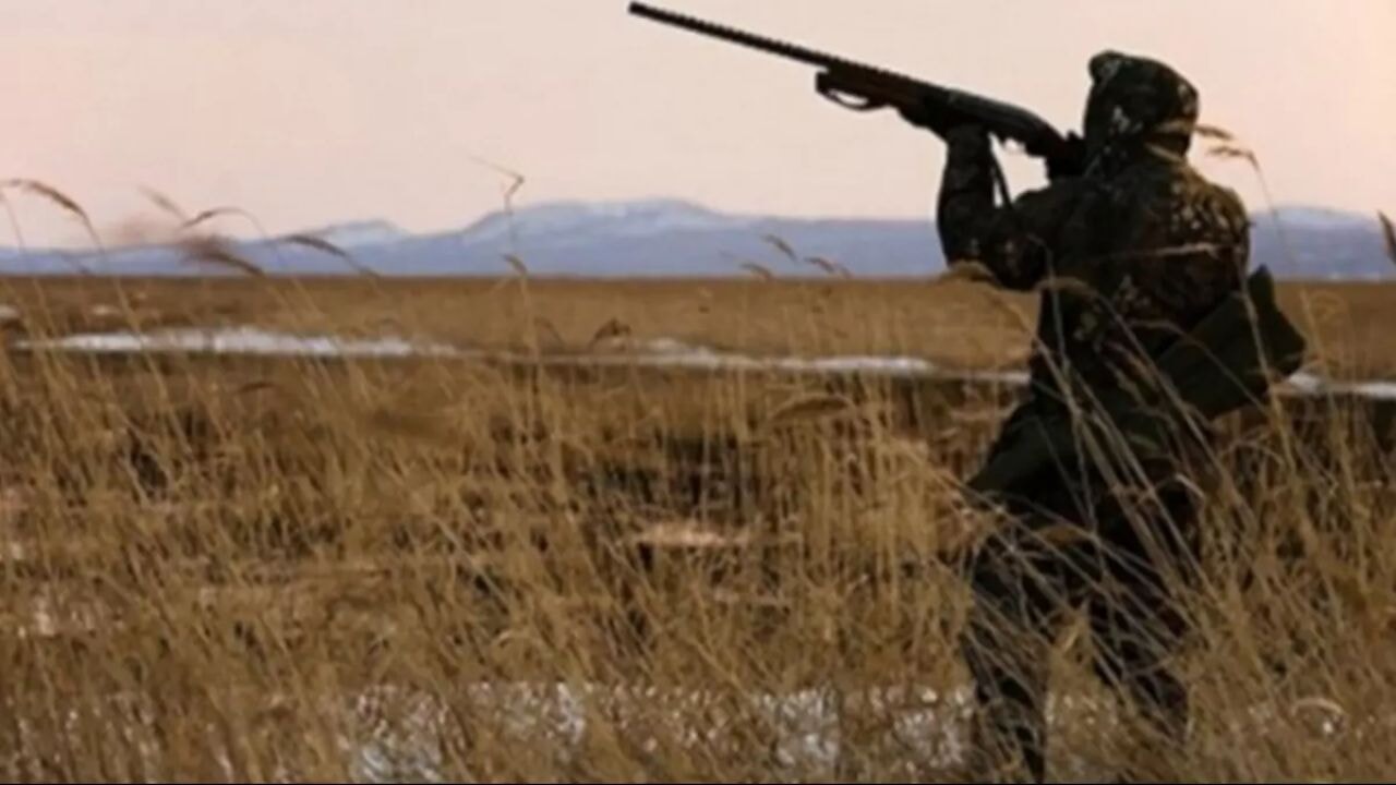 Kene vakaları artınca kuş avına geçici yasak gündemde