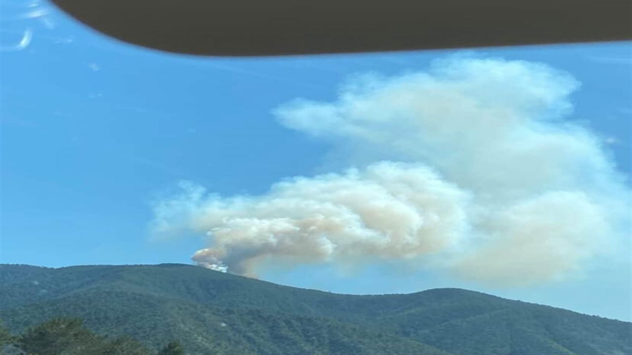 Çankırı'da orman yangını
