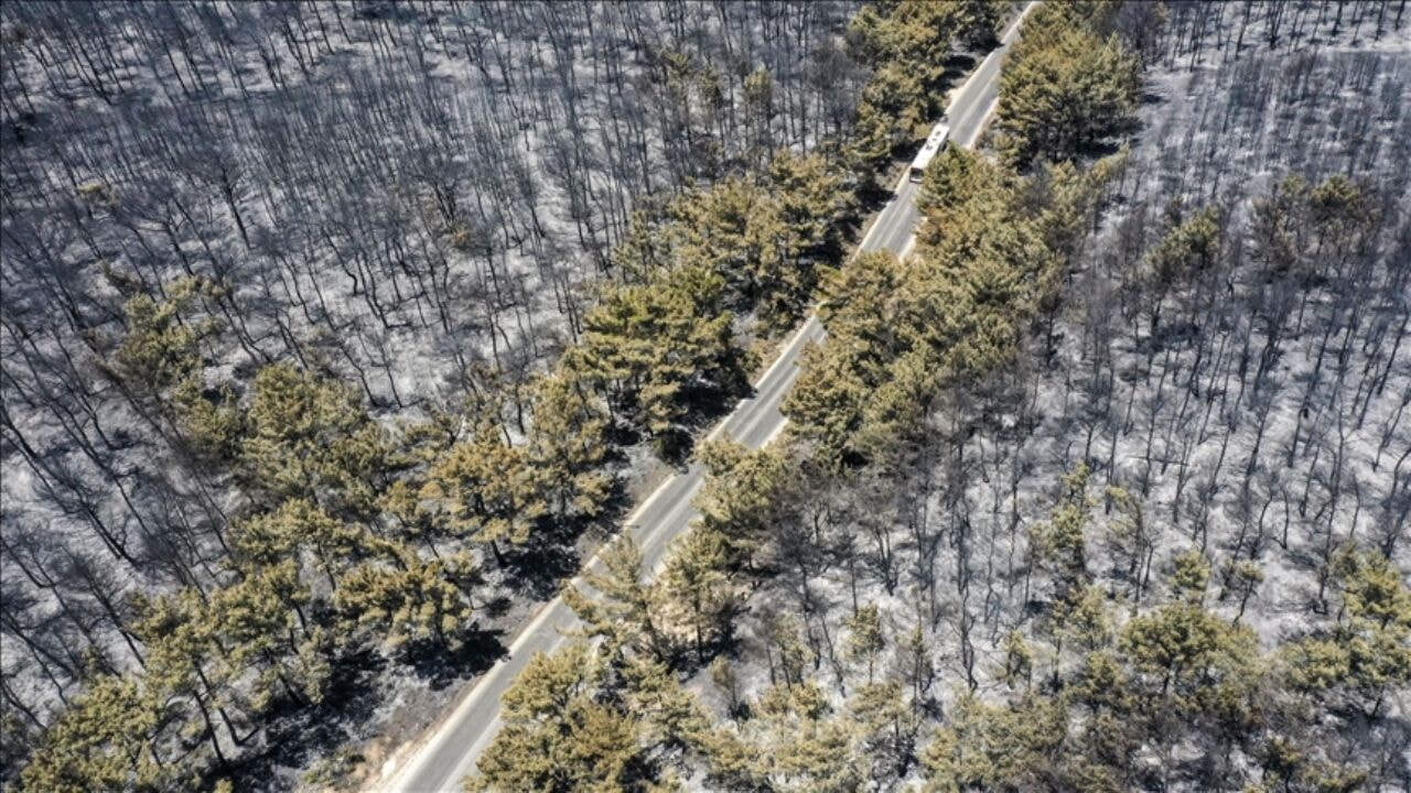 Buca'da yanan ormanlık alan havadan görüntülendi