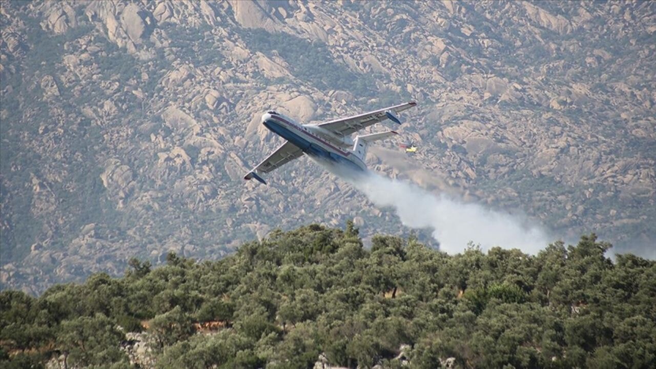 Orman yangınlarında 'kritik zaman' uyarısı