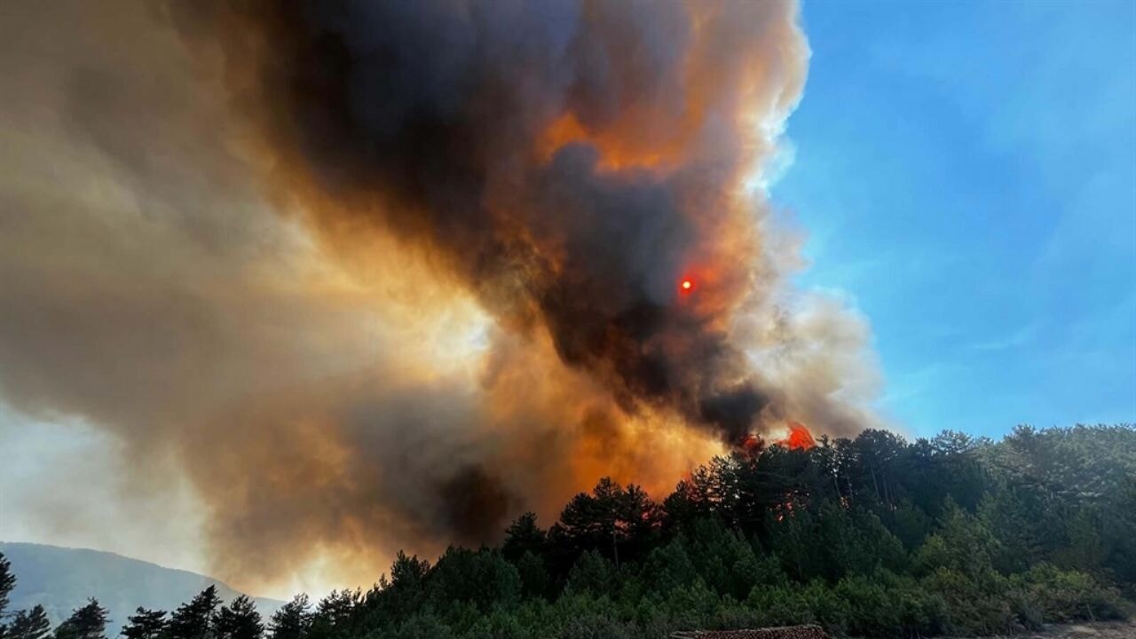 Balıkesir'de orman yangını