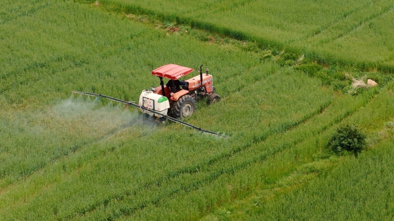 Ülker ve Sabancı Üniversitesi buğday için ele ele verdi