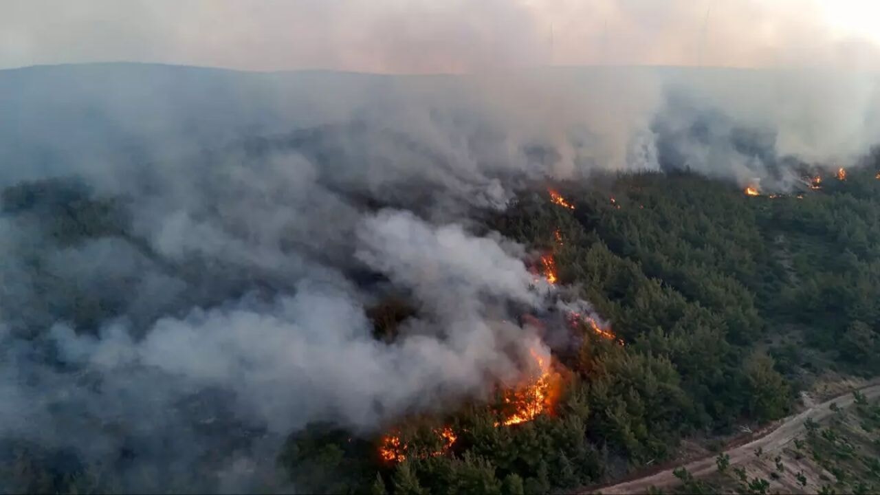Tekirdağ'daki orman yangını Çanakkale'ye sıçradı, köyler tahliye edildi, risk devam ediyor