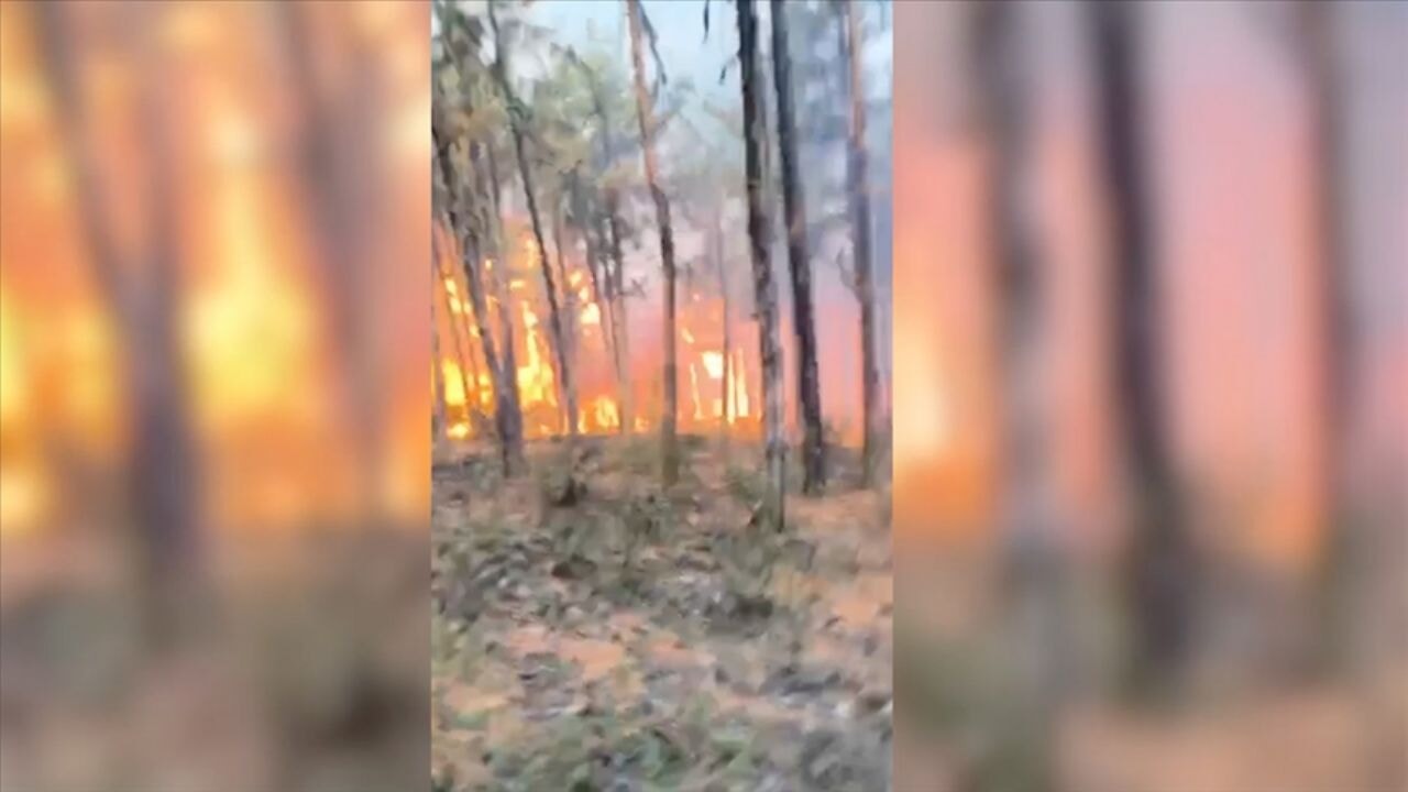 10 orman işçisi şehit oldu! Alevlerin arasında kaldılar