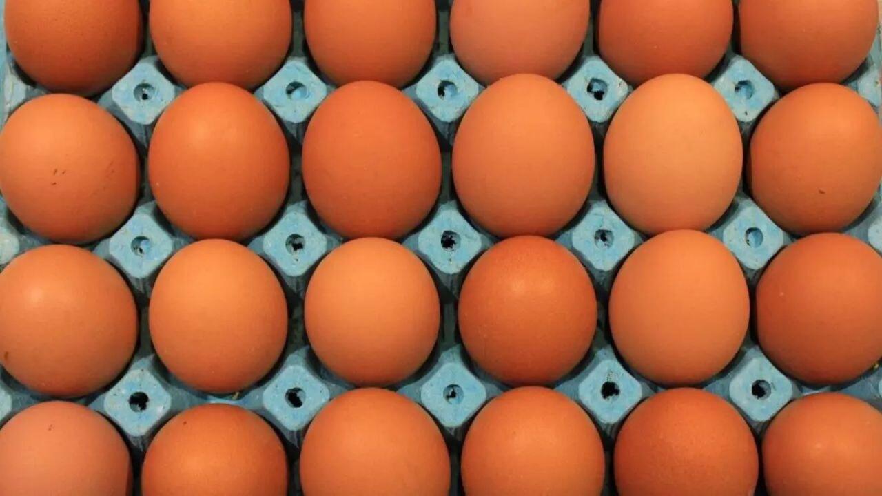 Sofralık yumurtada yeni ihracat düzenlemesi