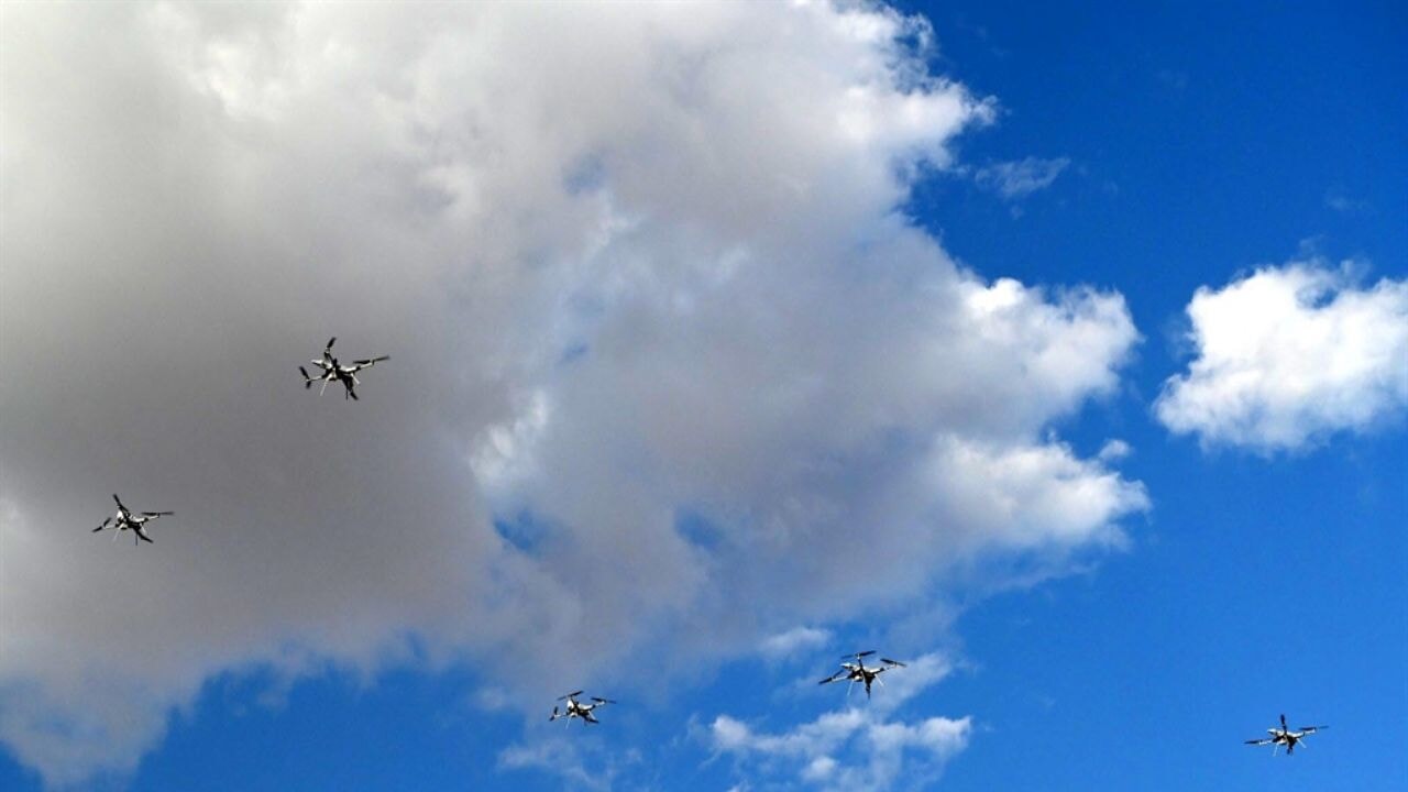 İHA KARGU'lardan sürü operasyonu