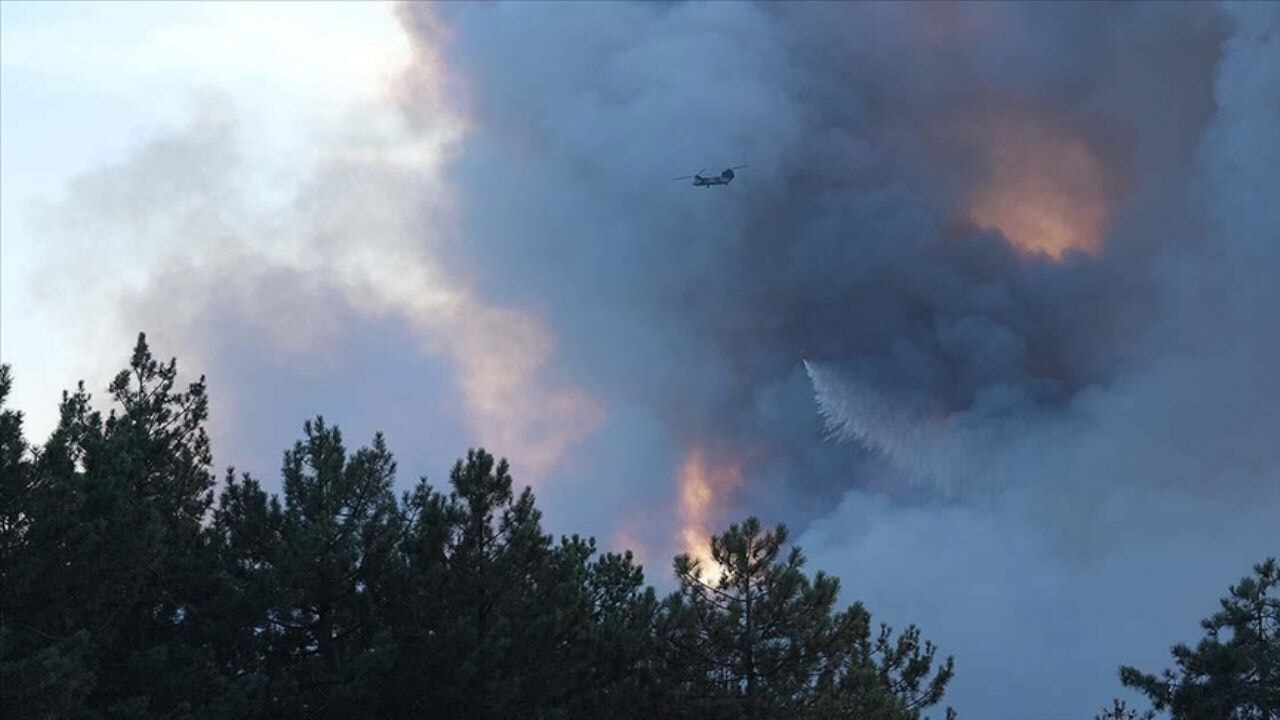 Gürsu ve Kestel arasındaki ormanlık alanda çıkan yangına müdahale ediliyor