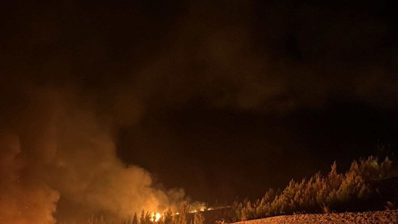 Balıkesir'de devrilen kamyon ormanı ateşe verdi