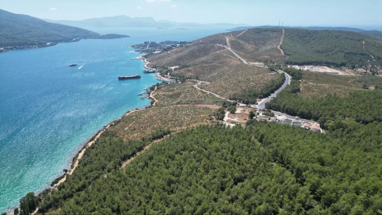 Muğla Orman Müdürlüğü 94 hektarı tekrar canlandırdı