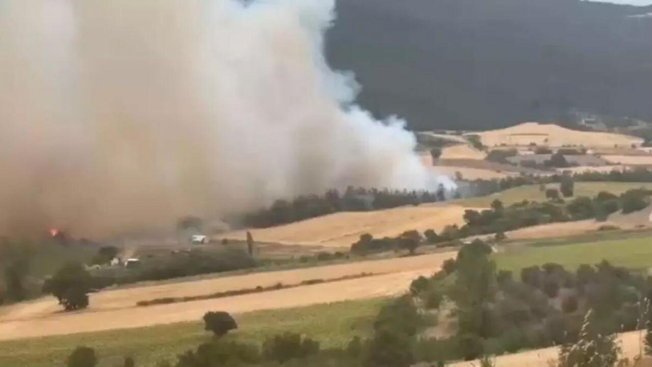 Yenişehir'de orman yangını! Ekipler yangını kontrol altına almaya çalışıyor