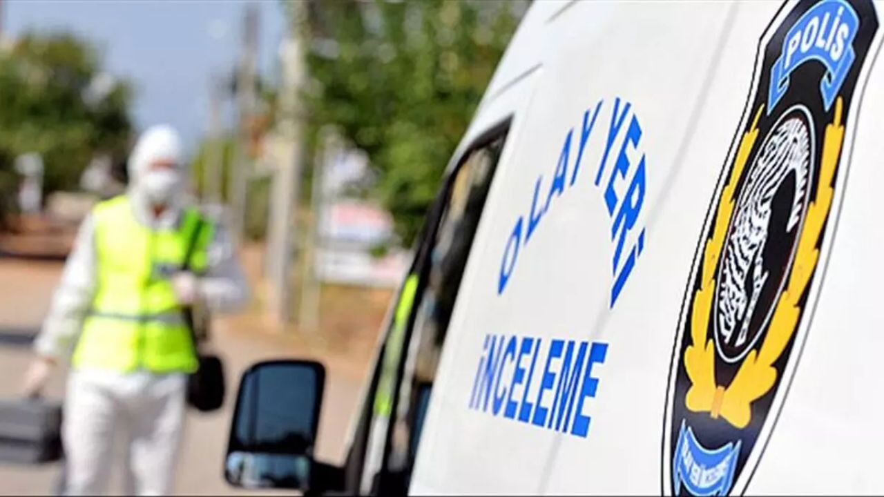 Trabzon'da fındık hasadı faciayla bitti!  Karı koca yaşamını yitirdi