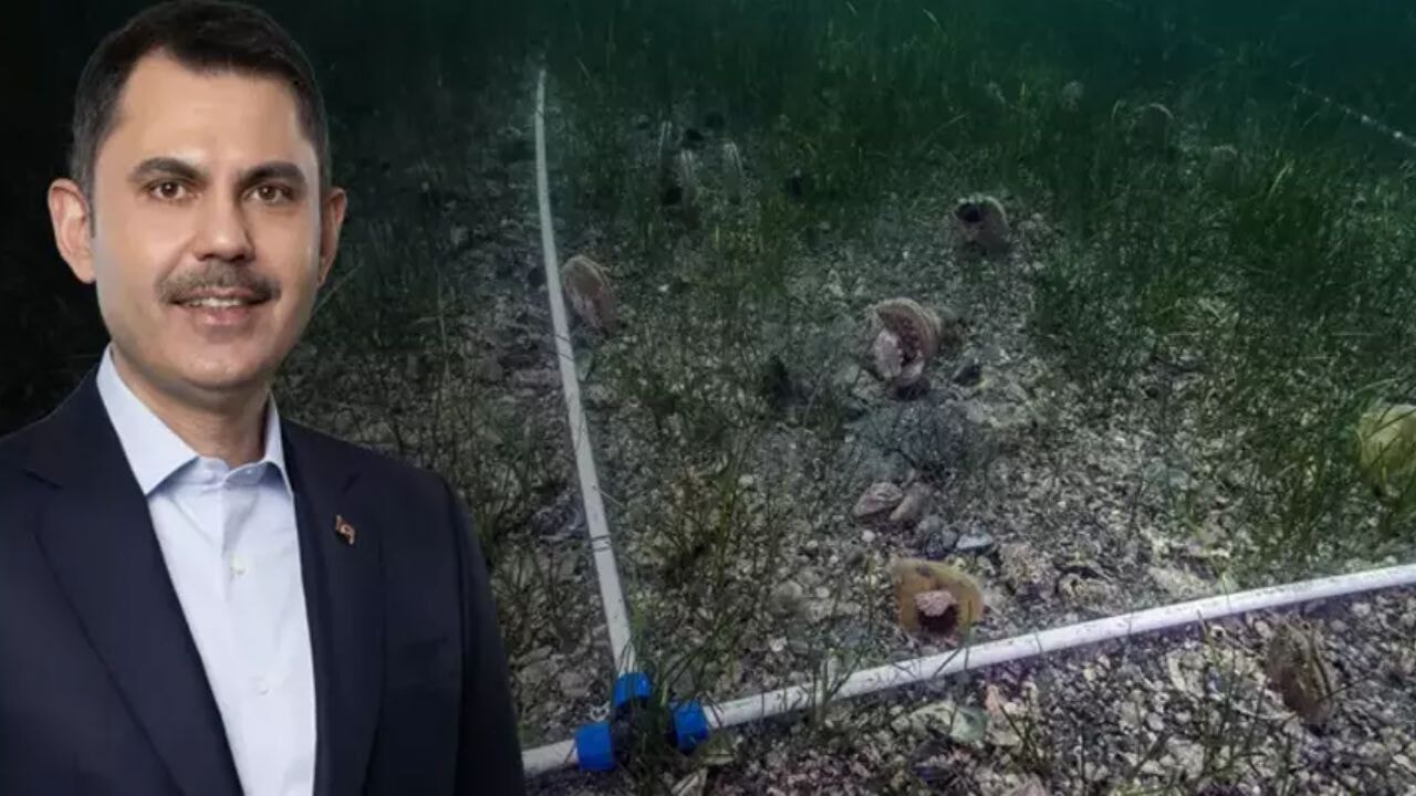 Bakan Kurum: Pina ve deniz çayırları Marmara'ya nefes oluyor