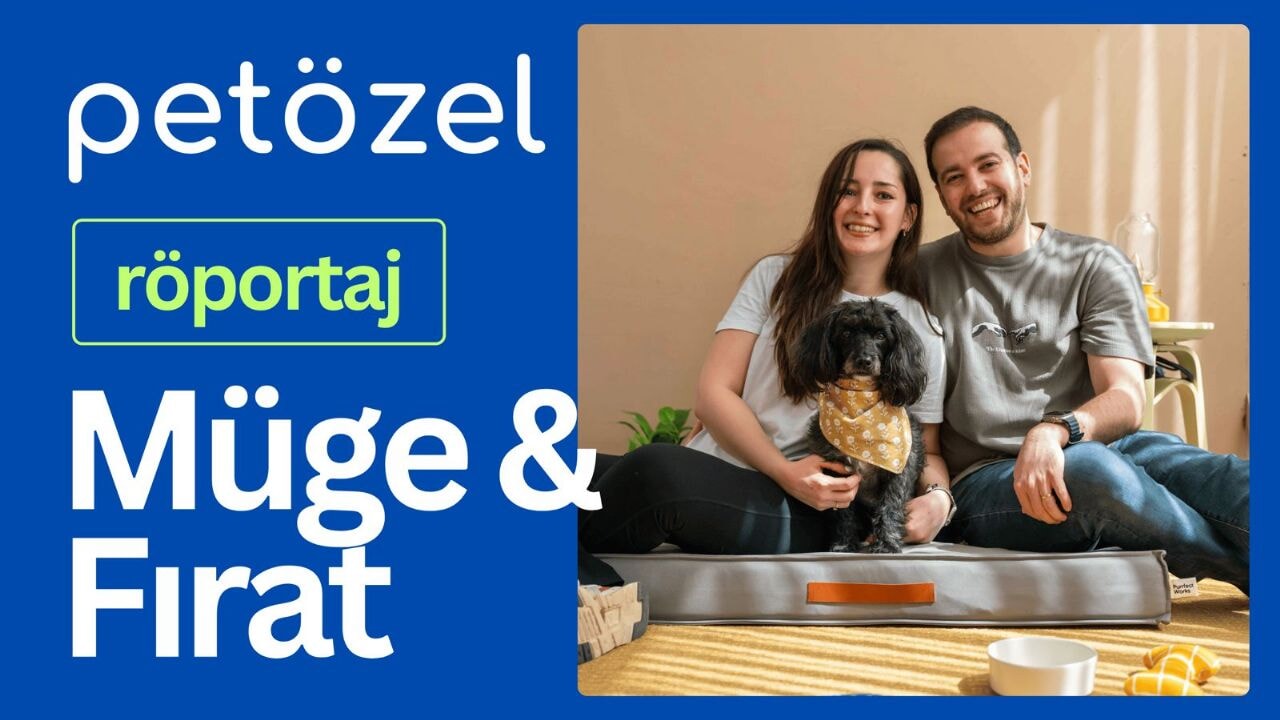 Evcil Hayvan Alışverişinde Yeni Dönem: Petözel ile Tanışın