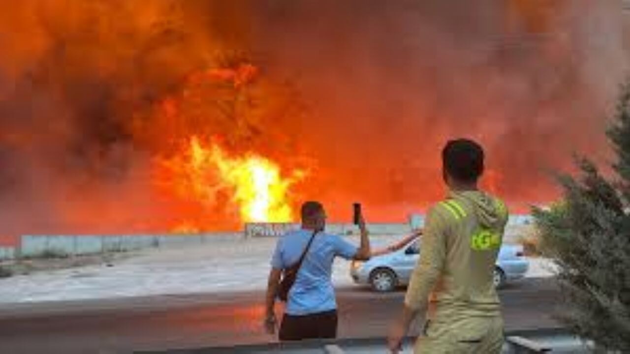 Çanakkale'de çıkan orman yangınına müdahaleler sürüyor