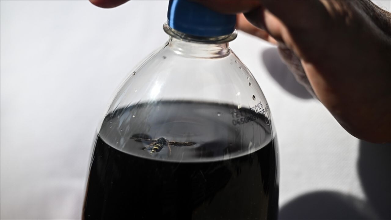 Kolasından arı çıkan Ankaralı tüketici Amerikan şirketine dava açtı