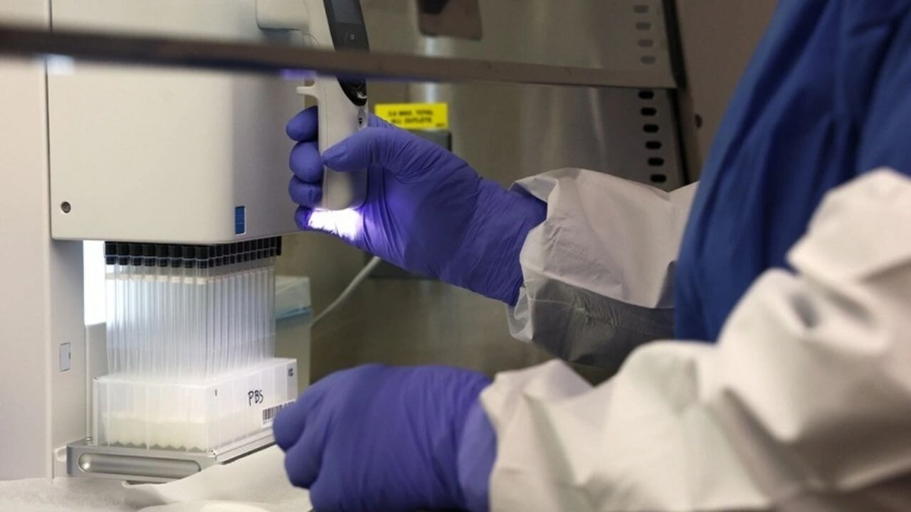 Silikon Vadisi'nde 'Zeka Ticareti': 50 Bin Dolara Genetik IQ Testi