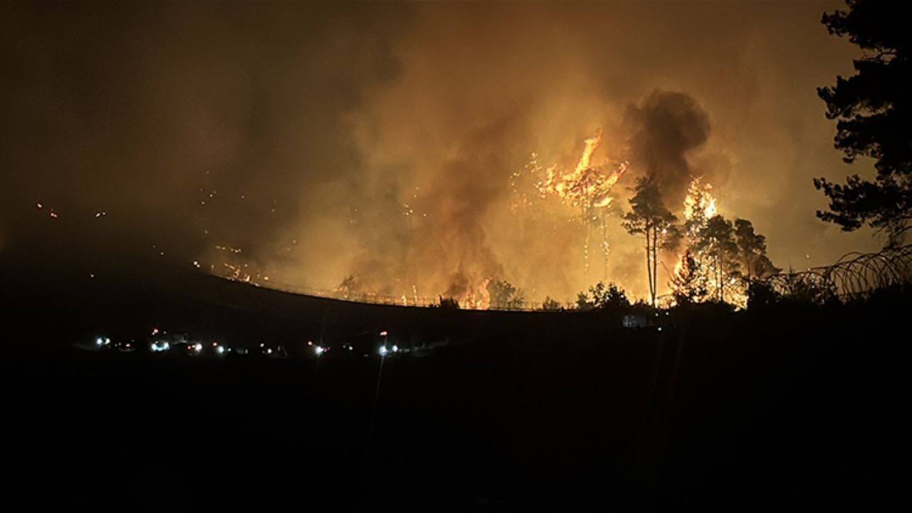 Suriye'deki orman yangınları Türkiye'ye sıçradı