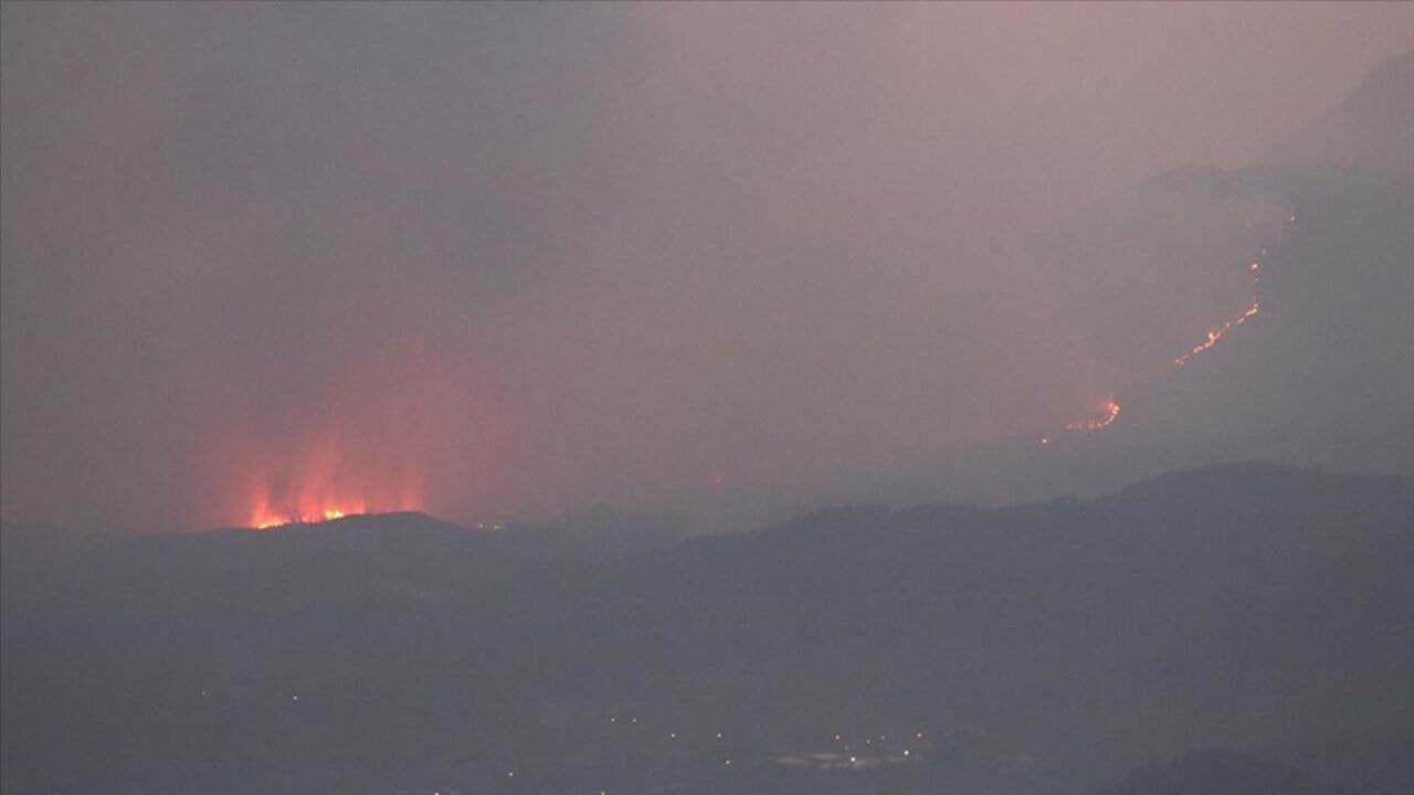 Diyarbakır'da üç ilçeyi etkileyen orman yangınına müdahale sürüyor