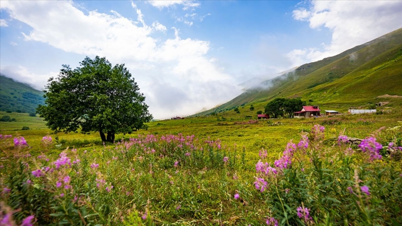 Uygun bilet fiyatları rotayı Karadeniz'e çevirdi