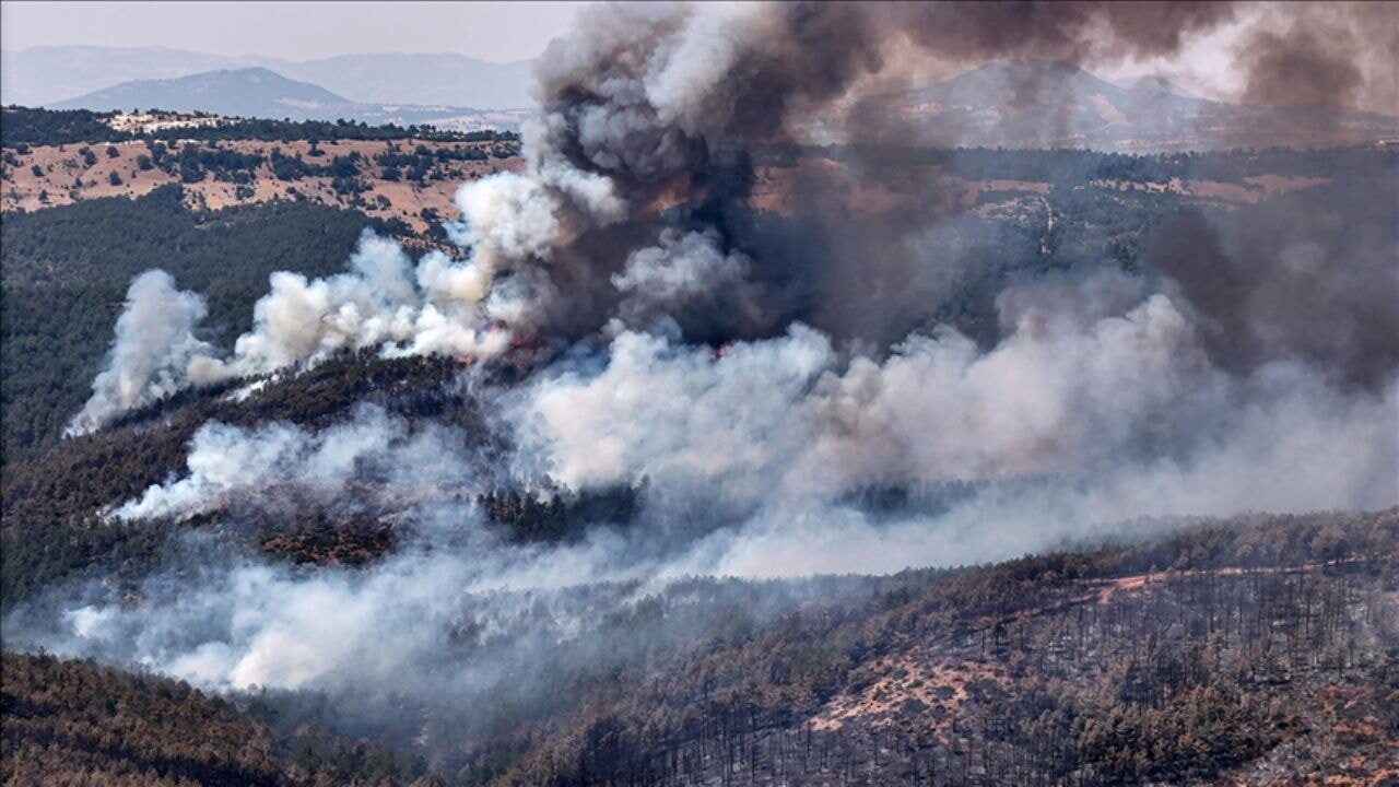 Orman yangınları nasıl çıktı? OGM'den ayrıntılı açıklama