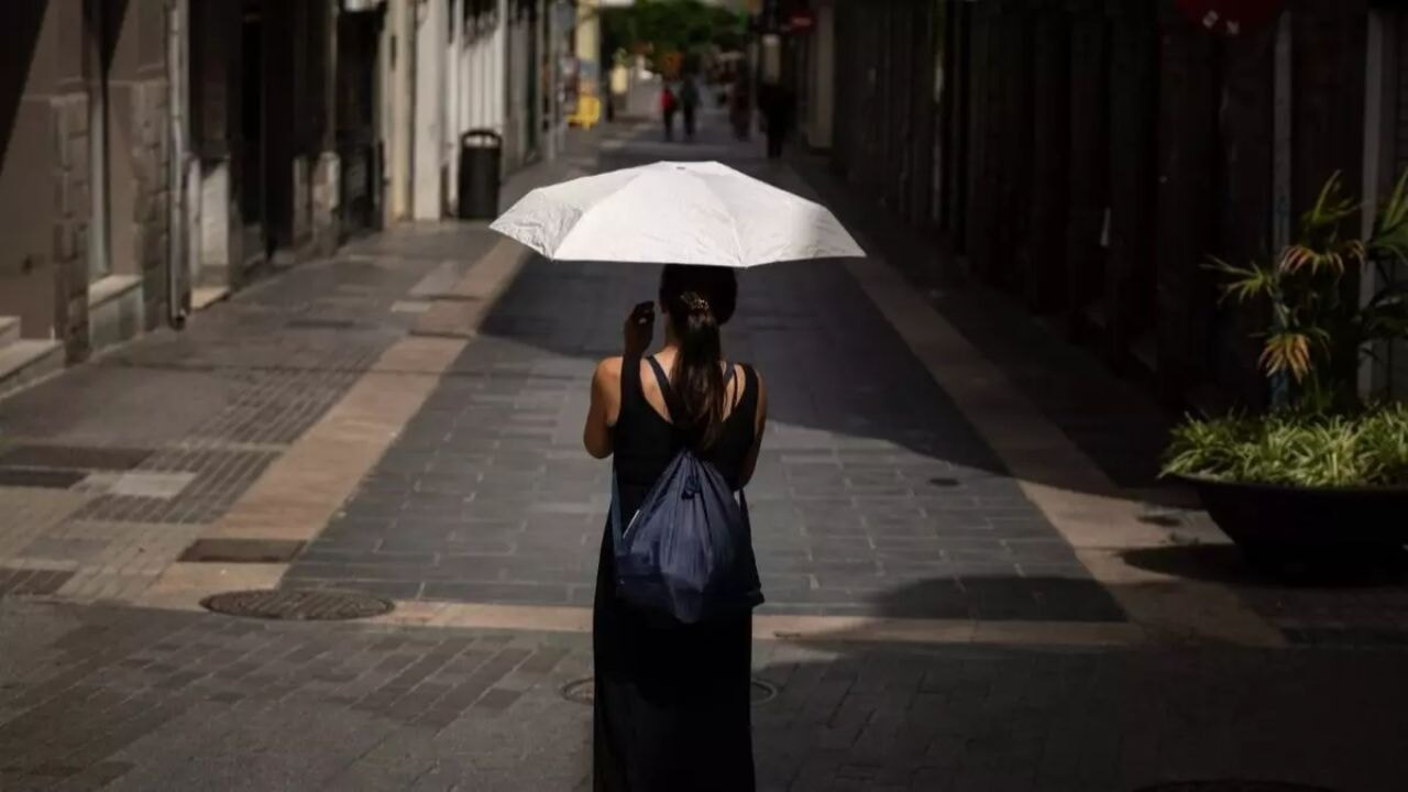 Sıcak hava kabusu! Binlerce ölüm