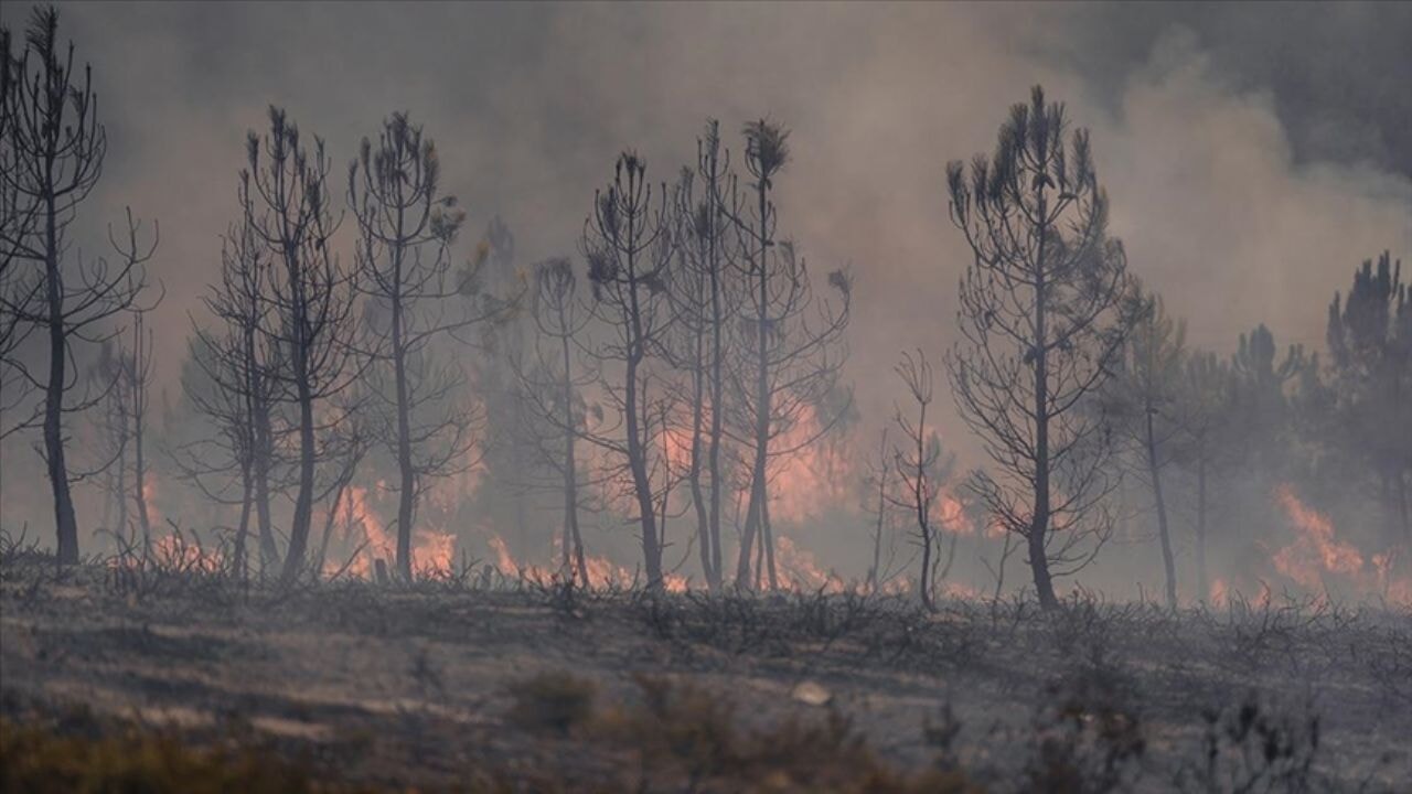İspanya'daki yangınlarda bilanço ağırlaşıyor