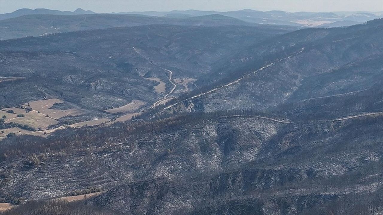 Define ararken orman yaktılar! İstenen ceza belli oldu