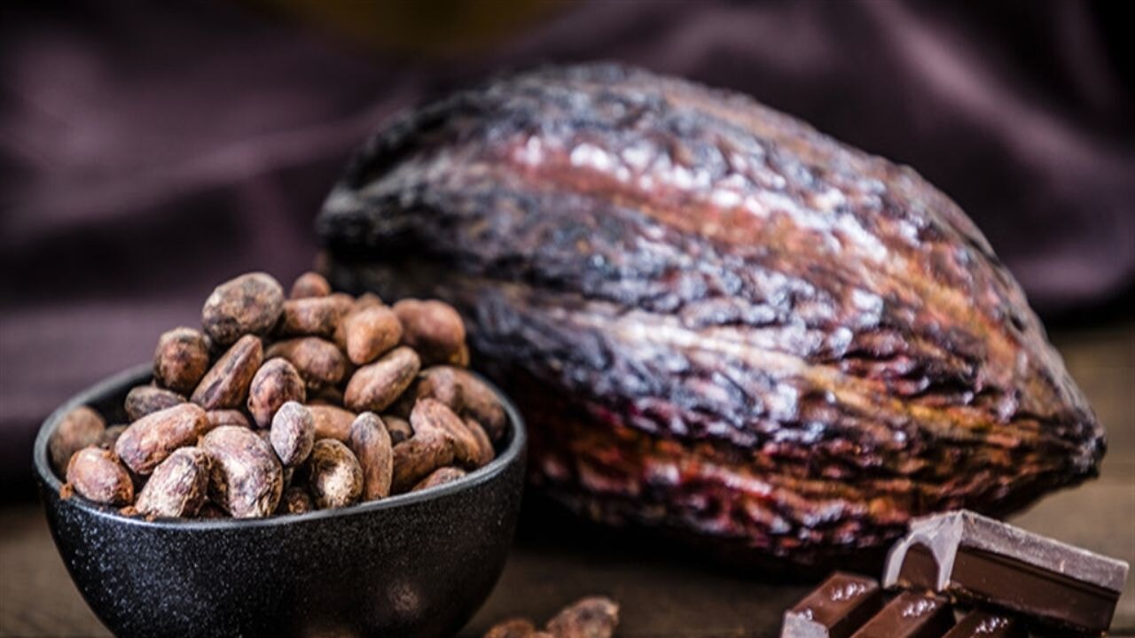 Mükemmel çikolatanın formülü keşfedildi
