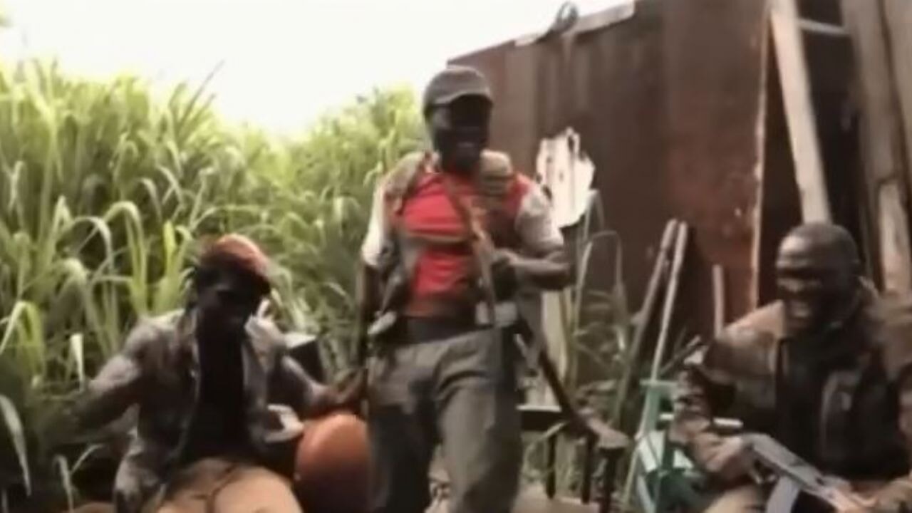 Maymunlar cehennemi filmi gerçek oldu!