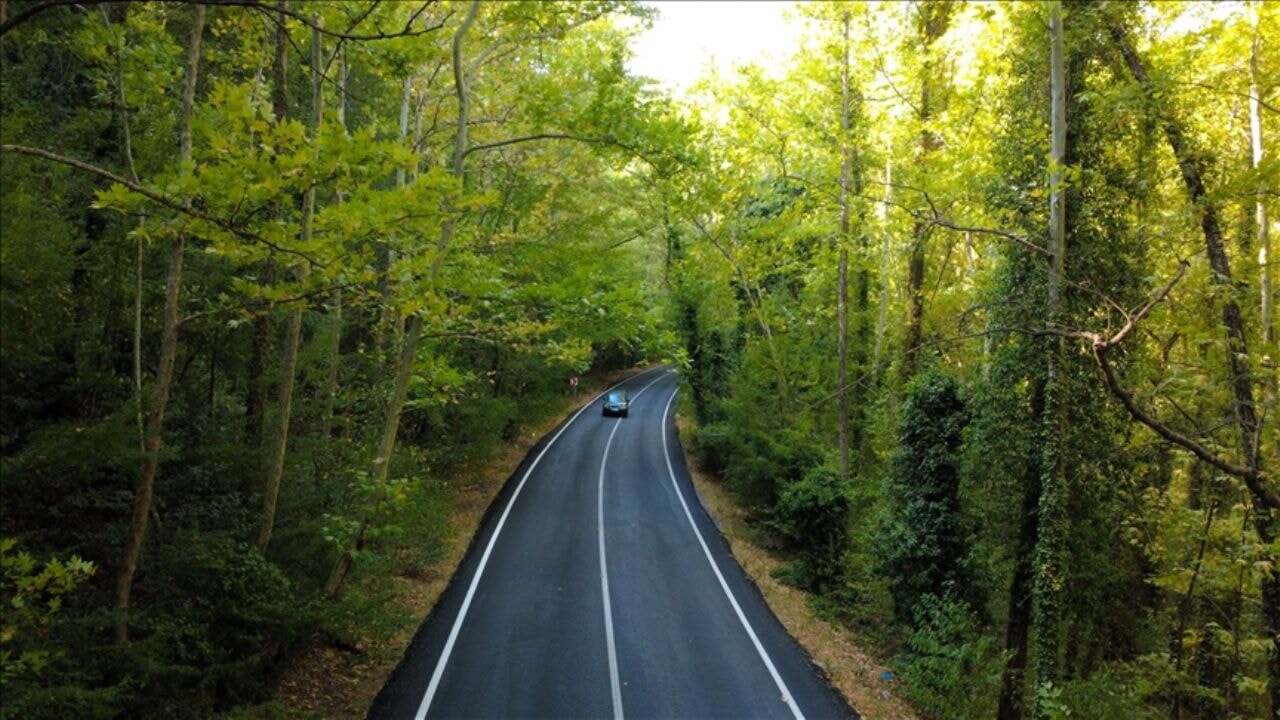 Safranbolu'nun 'ağaç tüneli'
