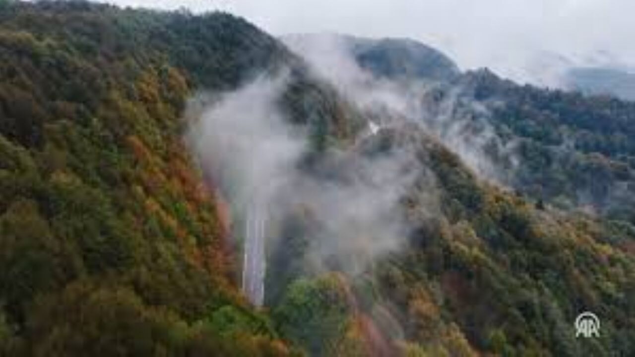 Çam Dağı'nda renk cümbüşüyle bütünleşen sis bulutu güzel manzara oluşturdu