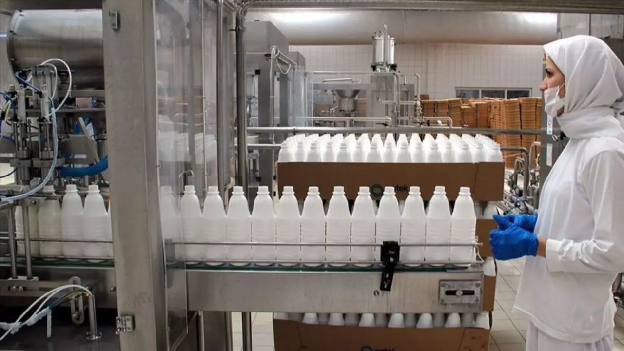 Rekabet Kurumu süt karşılığı yem uygulamasını durdurdu