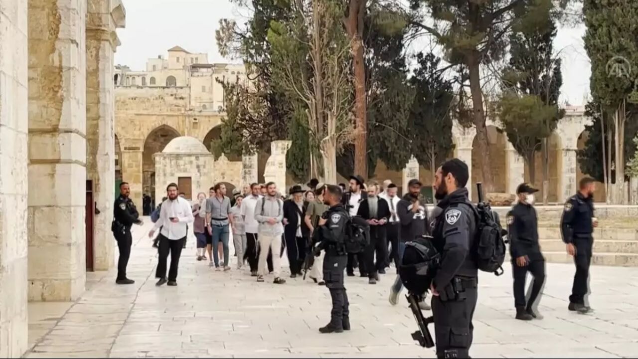 Filistin topraklarına baskın: El Halil'de aktivistler hedef oldu