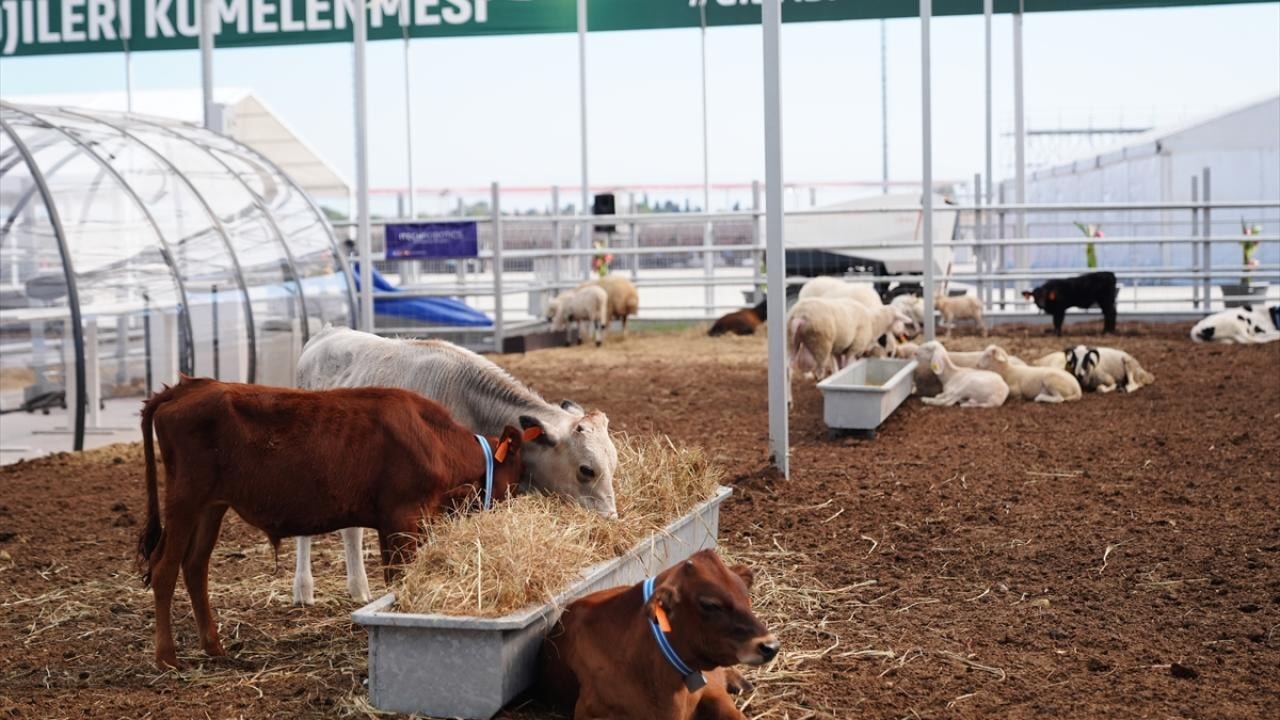 TEKNOFEST ahırı görücüye çıktı