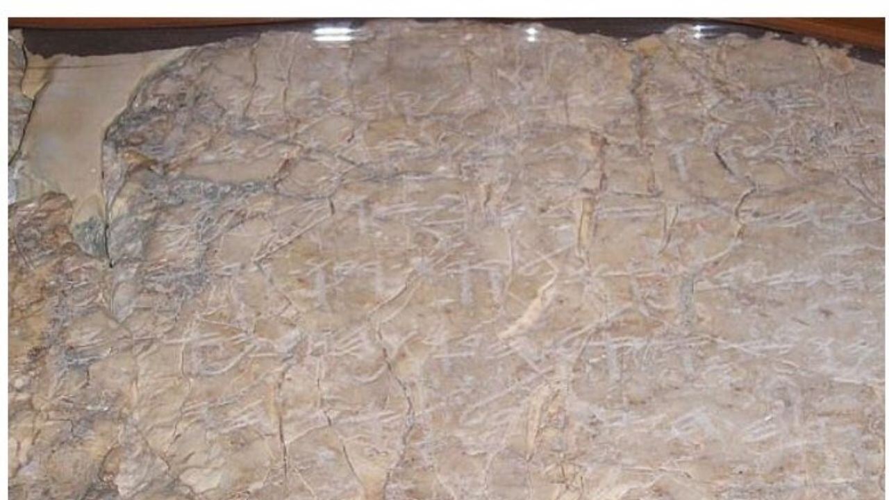 İsrail neden Türkiye'deki yazıtın peşinde? Prof. Afyoncu açıkladı