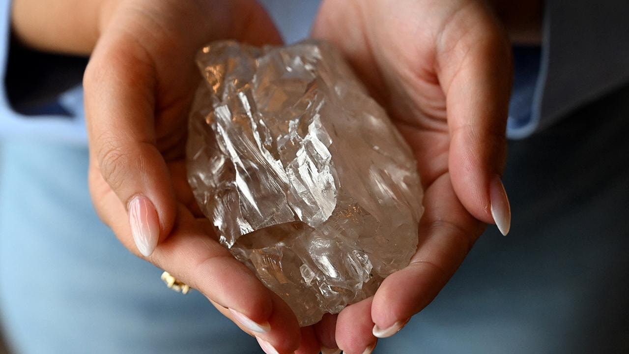 Dünyanın en büyük elması: Fiyatı servet değerinde