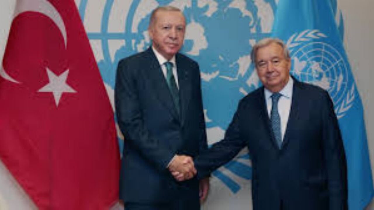 Cumhurbaşkanı Erdoğan, BM Genel Sekreteri Guterres ile görüştü
