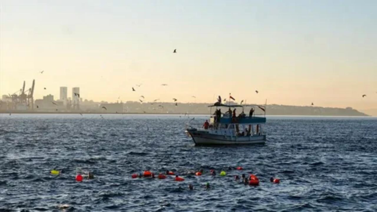 İstanbul'da yüzücüler Gazze'ye destek için Sarayburnu'ndan Demokrasi ve Özgürlükler Adası'na kulaç attı
