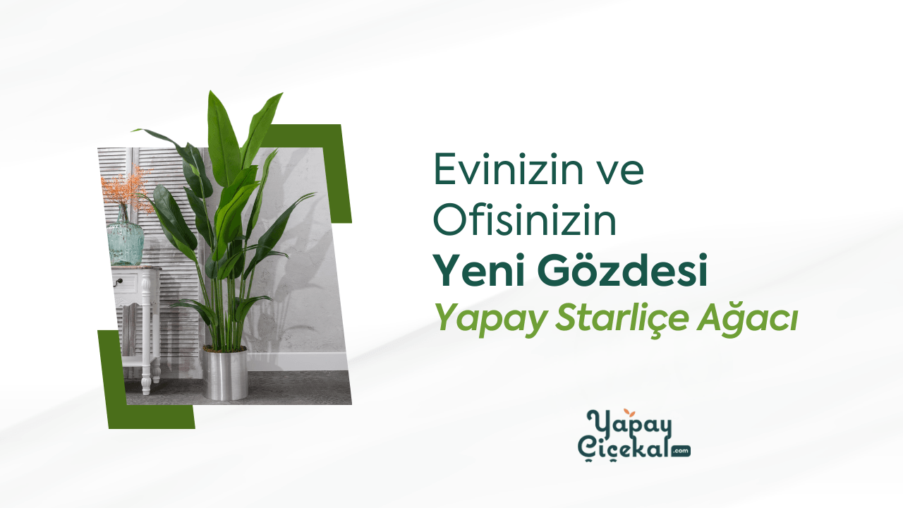 Evinizin Ve Ofisinizin Yeni Gözdesi: Yapay Starliçe Ağacı