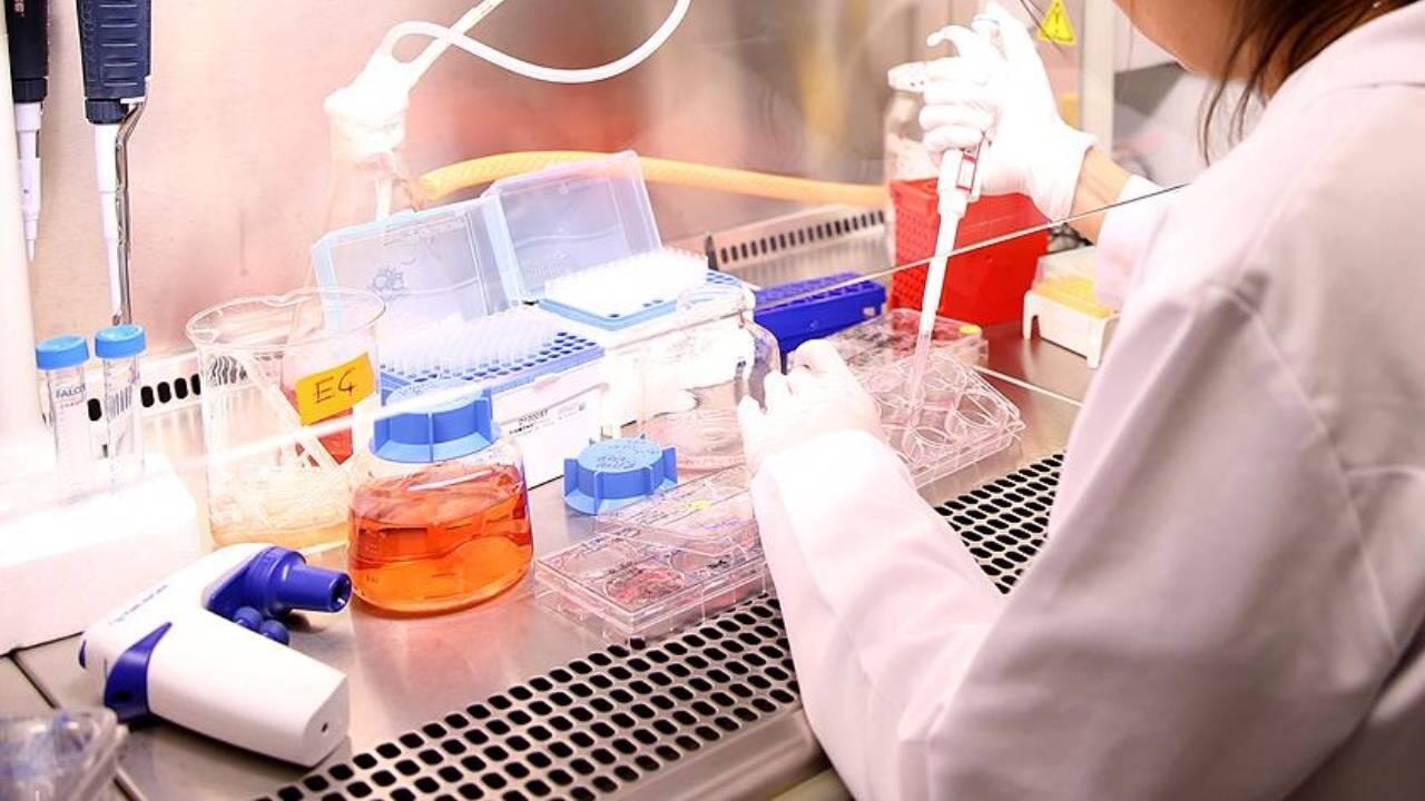 Hücreleri kandıran besin molekülleri keşfedildi