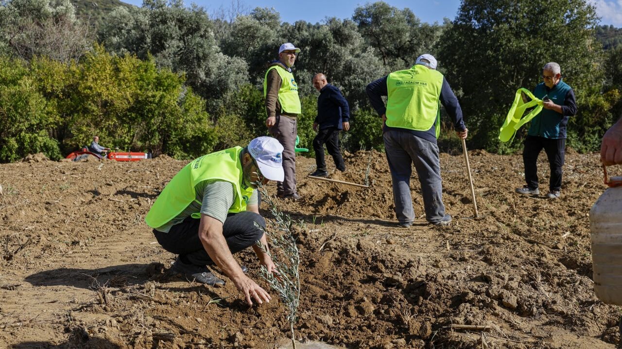 İHH'dan 3 ildeki çiftçilere 25 bin fidan desteği